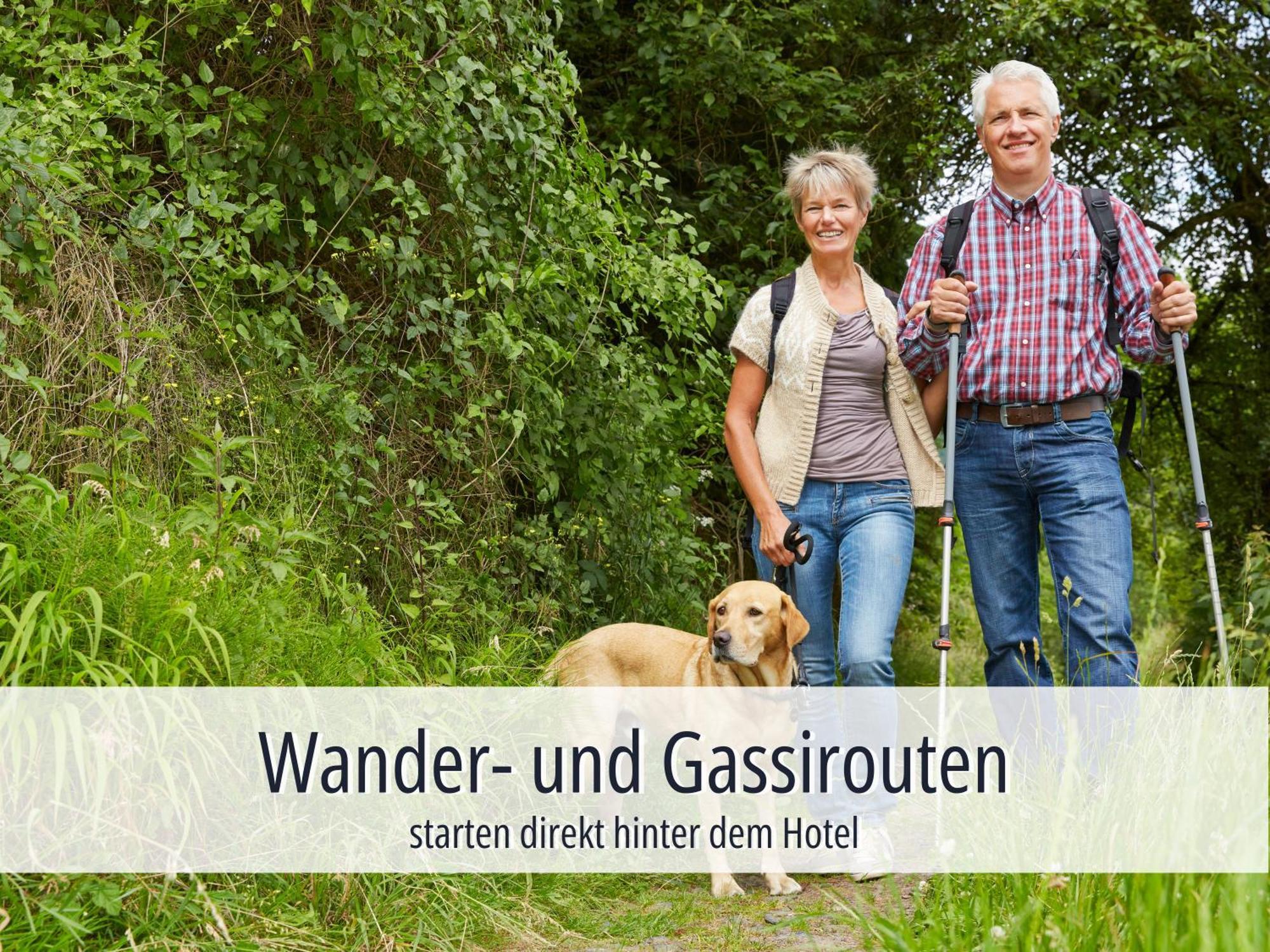 Hotel Am Kurhaus Mit Erstem Ayurveda Center Sachsens - Direkt Am Gesundheitsbad Actinon & Kurpark Bad Schlema Kültér fotó